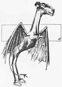 Jersey Devil, 1901 illustration. (FORTEAN PICTURE LIBRARY)