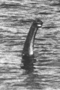 A picture of the alleged Loch Ness Monster taken from Urquhart Castle on May 21, 1977. (FORTEAN PICTURE LIBRARY)